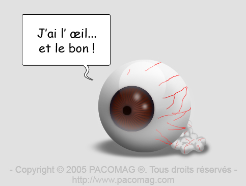 avoir  l'oeil